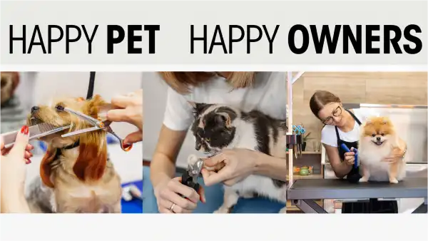 Home Pet Grooming Makeup photo