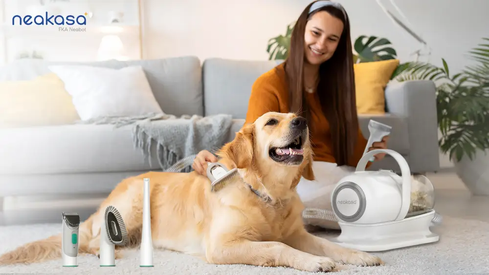 The Best Vacuum for Dog Hair