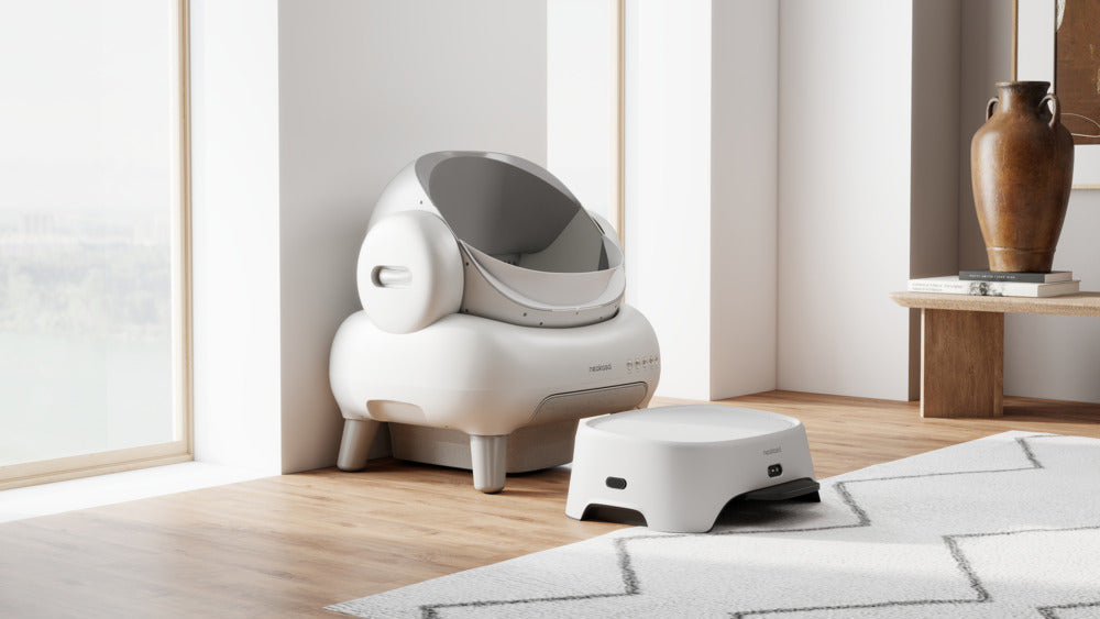 Best Air Purifiers for Cat Litter Box Smell Control