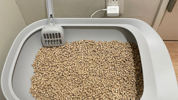 Best Pellet Litter Boxes for Cats in 2025: The Ultimate Buyer’s Guide
