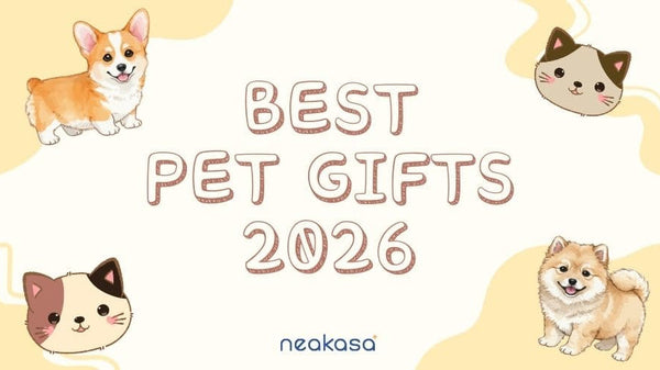 Best Pet Gifts 2026: Complete Guide for Cat & Dog Lovers