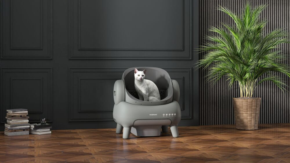 Best Black Litter Boxes for Cats: 2026 Style & Review Guide