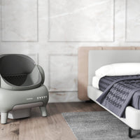 Can I Put a Cat Litter Box in the Bedroom? Safety Risks & Best Placement Guide