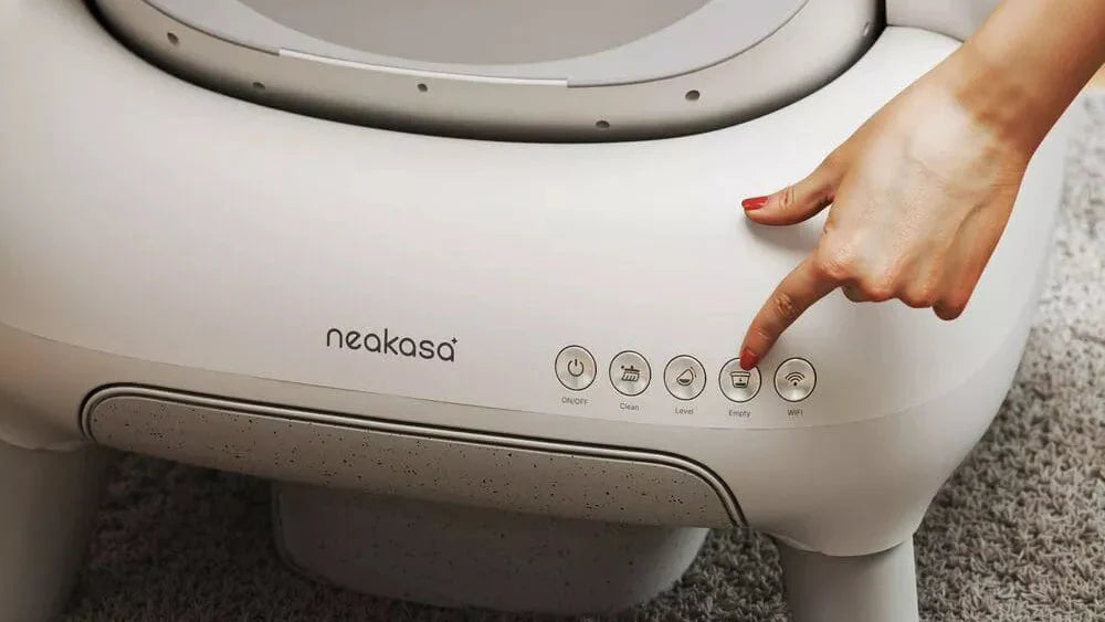 How to Make Tofu Litter Work in Your Automatic Box?