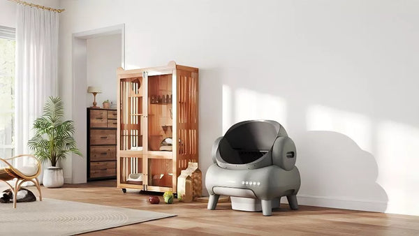 Best Self-Cleaning Litter Boxes 2026: Expert Reviews, Testing Results & Ratings