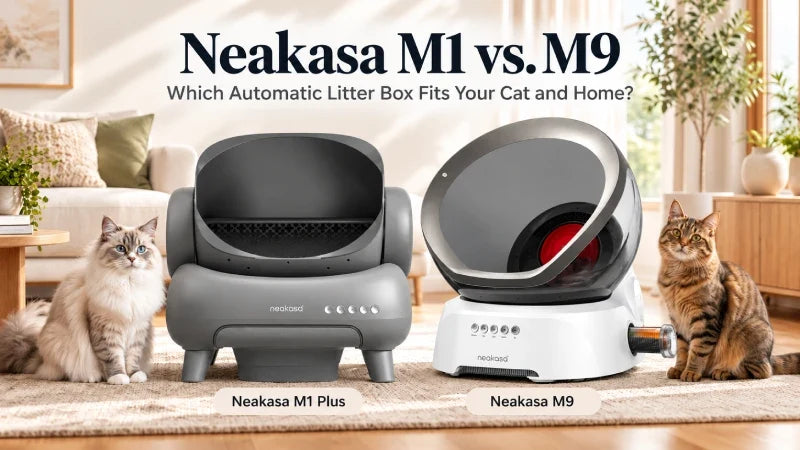 Neakasa M1 vs. M9: Which Automatic Litter Box Is Better cover