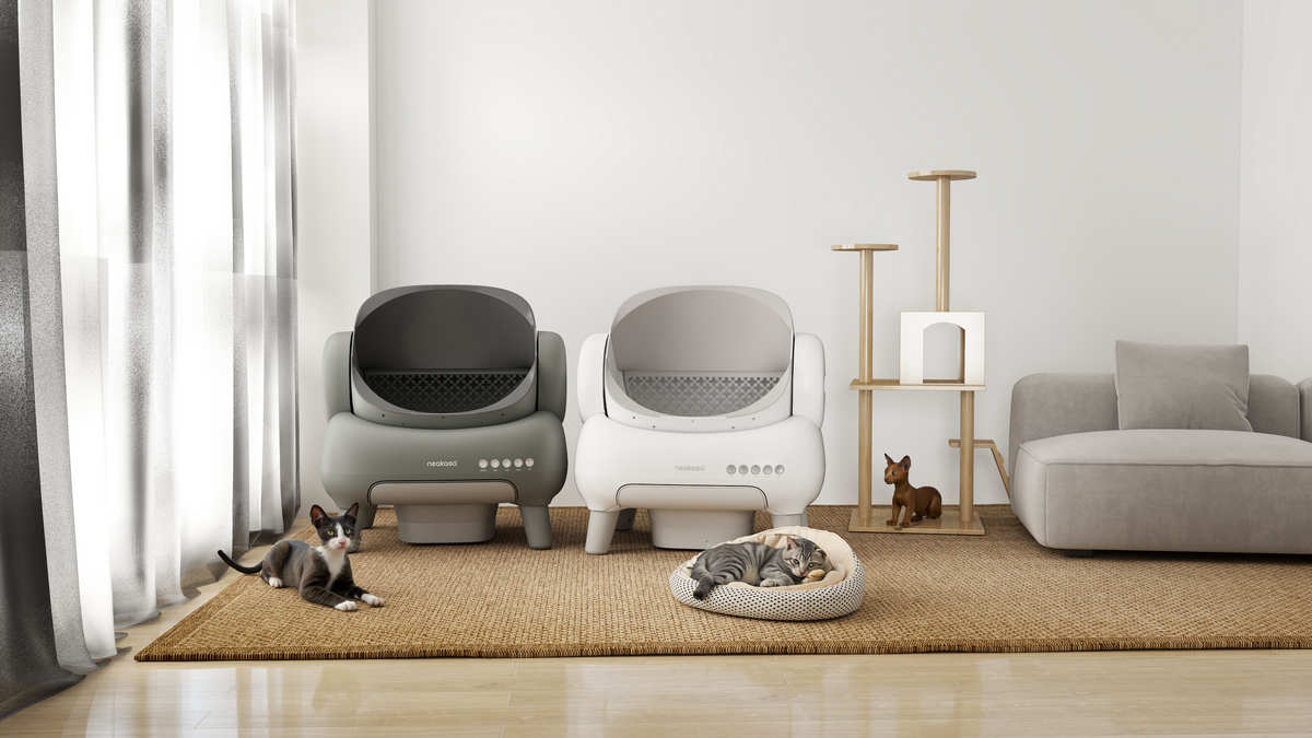 senior cat litter box