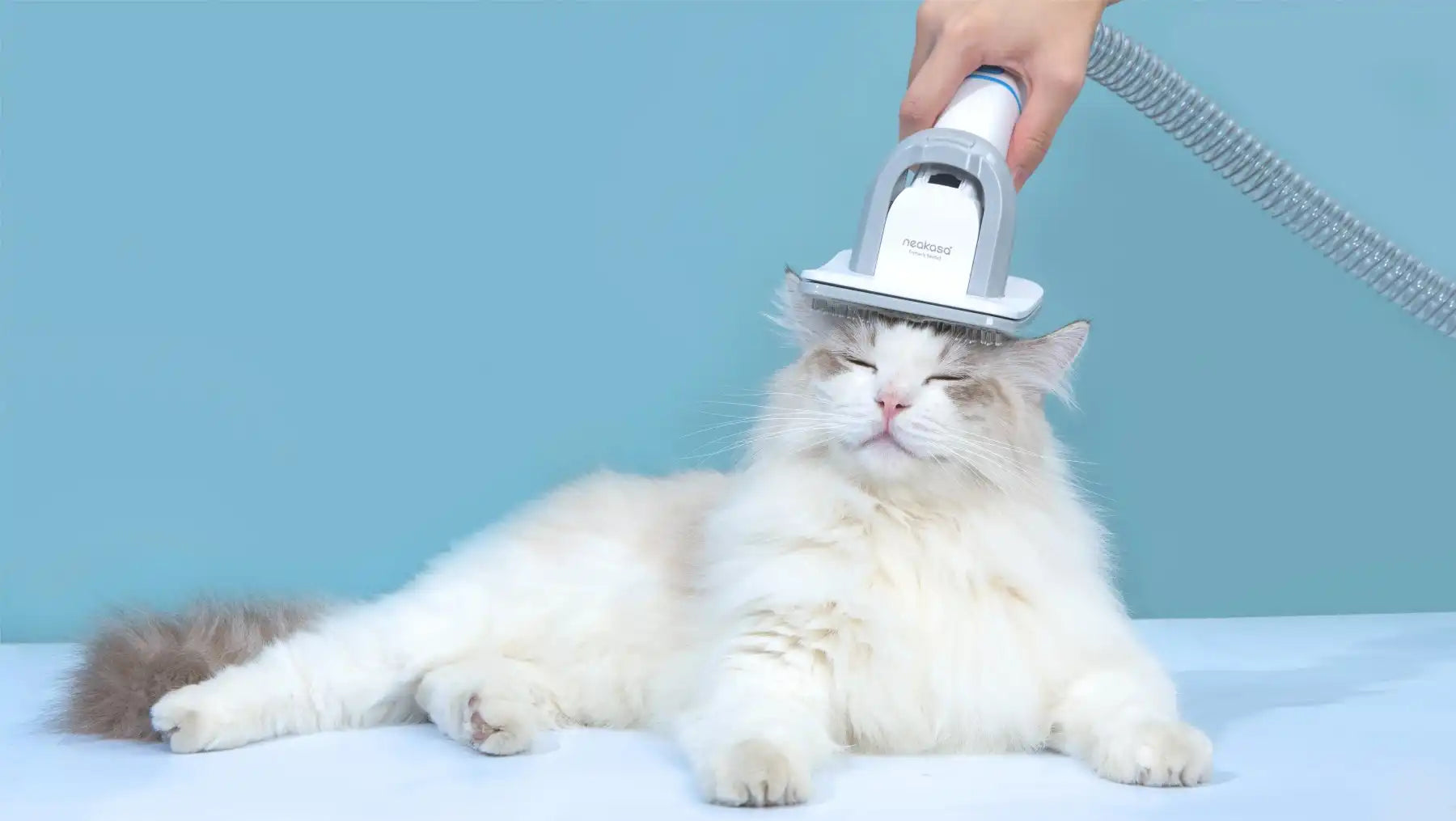 Best Quiet Cat Grooming Vacuums 2026: Top Picks & Reviews