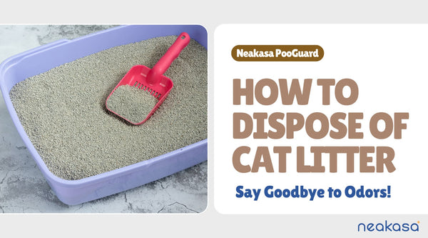 How to Dispose of Cat Litter: Say Goodbye to Odors for a Fresher Home!