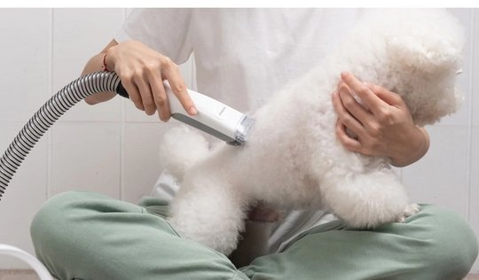 Does A Dog Vacuum Really Work? - Neakasa