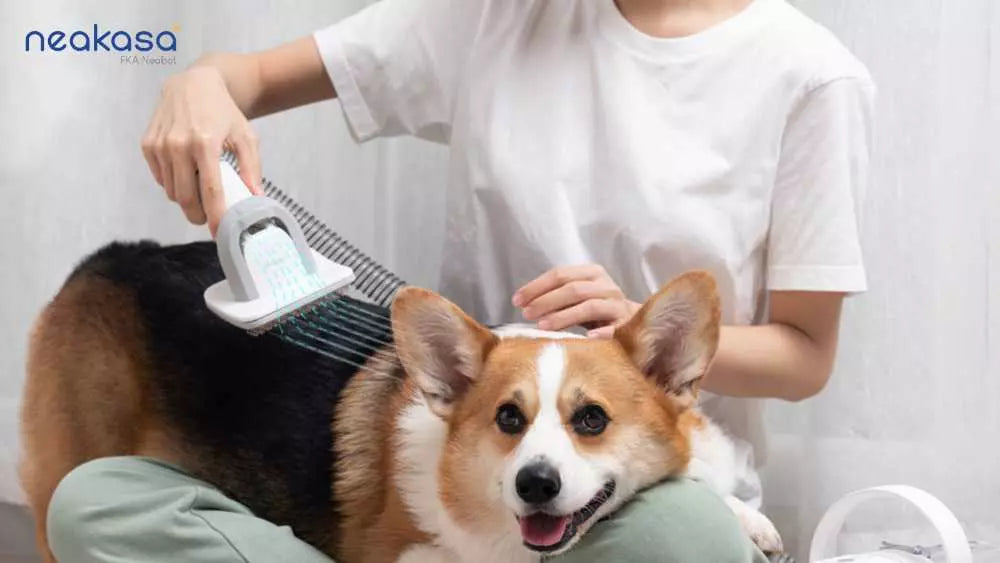 Is Dog Grooming Vacuum a Must-Have Dog Grooming Tools?