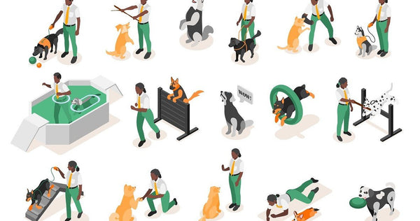 Dog Training Guide: How to Train Your Dog? - Neakasa