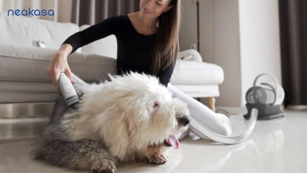 Is Your Dog Brush Vacuum Scaring Your Dog? How to Avoid It?