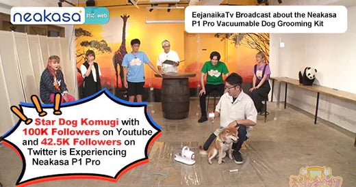 EejanaikaTv Broadcast about Neakasa P1 Pro Vacuumable Dog Grooming Kit - Neakasa