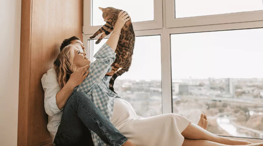 8 Genius Time-Saving Gifts for Busy Pet Moms in 2026