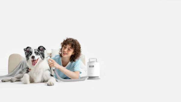 Save Money on Pet Grooming with the Grooming Vacuum for Dogs