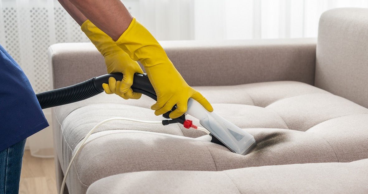 How to Remove Dog Hair From A Couch? - Neakasa