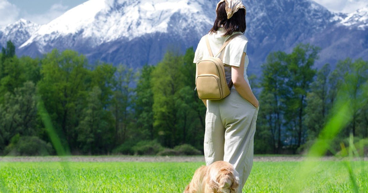 How to Travel With Your Dog: A 101 Guide For You - Neakasa