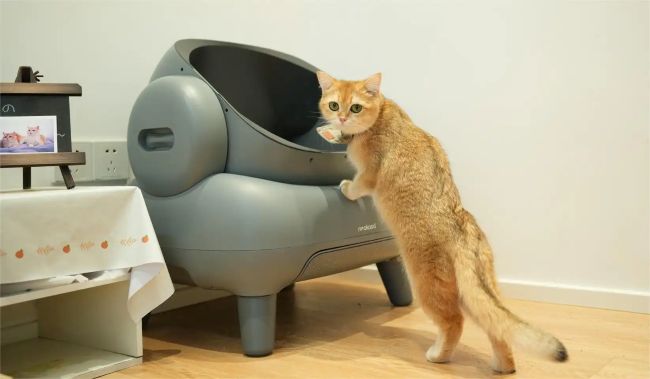 How Self Cleaning Litter Boxes Work