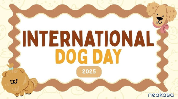 International Dog Day 2025: Celebration Ideas, Fun Facts & Puppy Day Connections
