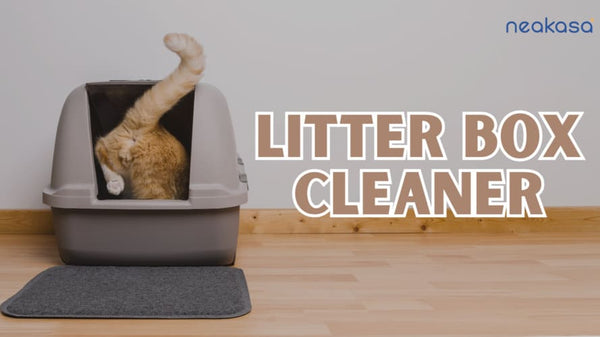 Complete Litter Box Cleaner Guide: Essential Tools, Cleaning Steps & Automatic Solutions