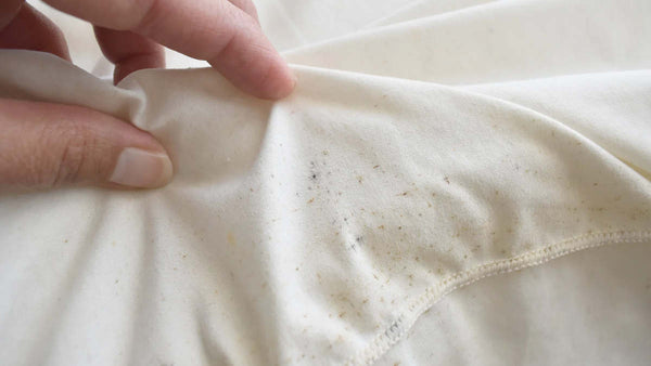 moldy clothes
