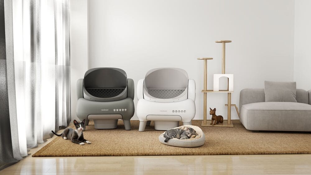 Best Automatic Litter Boxes for Big Cats | Perfect for Cat Parents in 2025