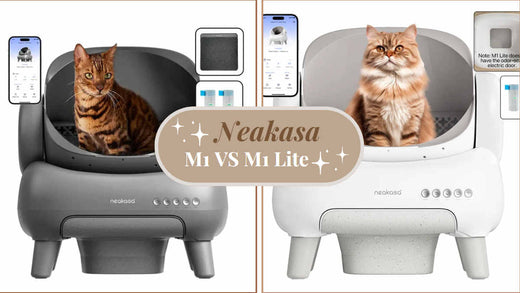 [Update] Neakasa M1 Plus vs M1 Lite Plus: Full Comparison