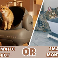 Neakasa M1 vs. Petivity: Should You Buy a Self-Cleaning Robot or a Smart Monitor?