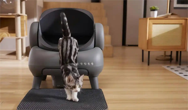 neakasa m1 self cleaning box