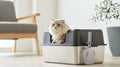 Stainless Steel vs Plastic Cat Litter Boxes: Which Is Better for Your Cat?