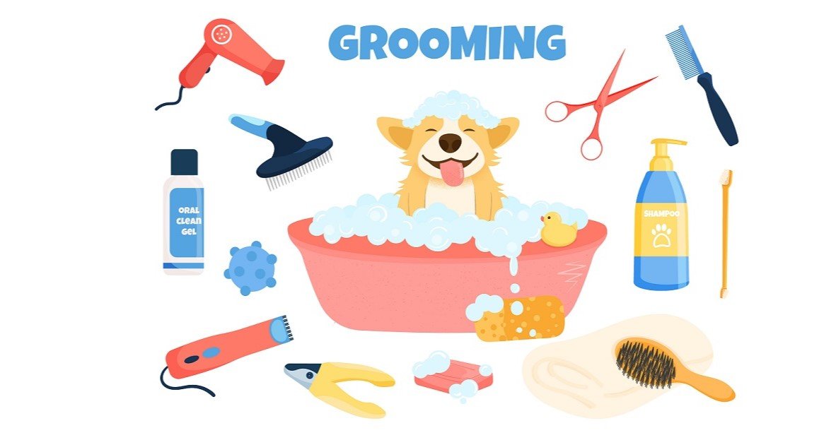 What Are The Best Dog Grooming Supplies? - Neakasa