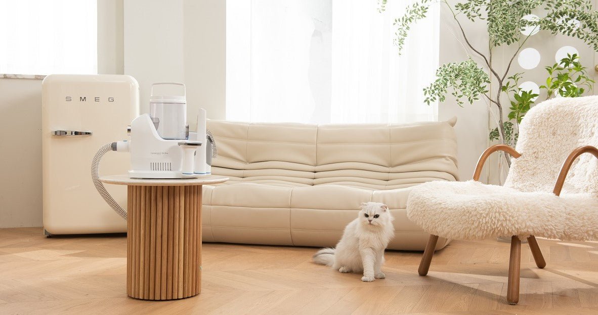 What Is the Best Handheld Vacuum for Pet Hair? - Neakasa