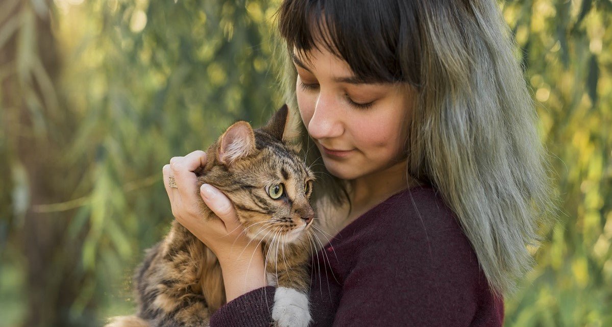 What Should I Do Before Adopt a Cat? - Neakasa