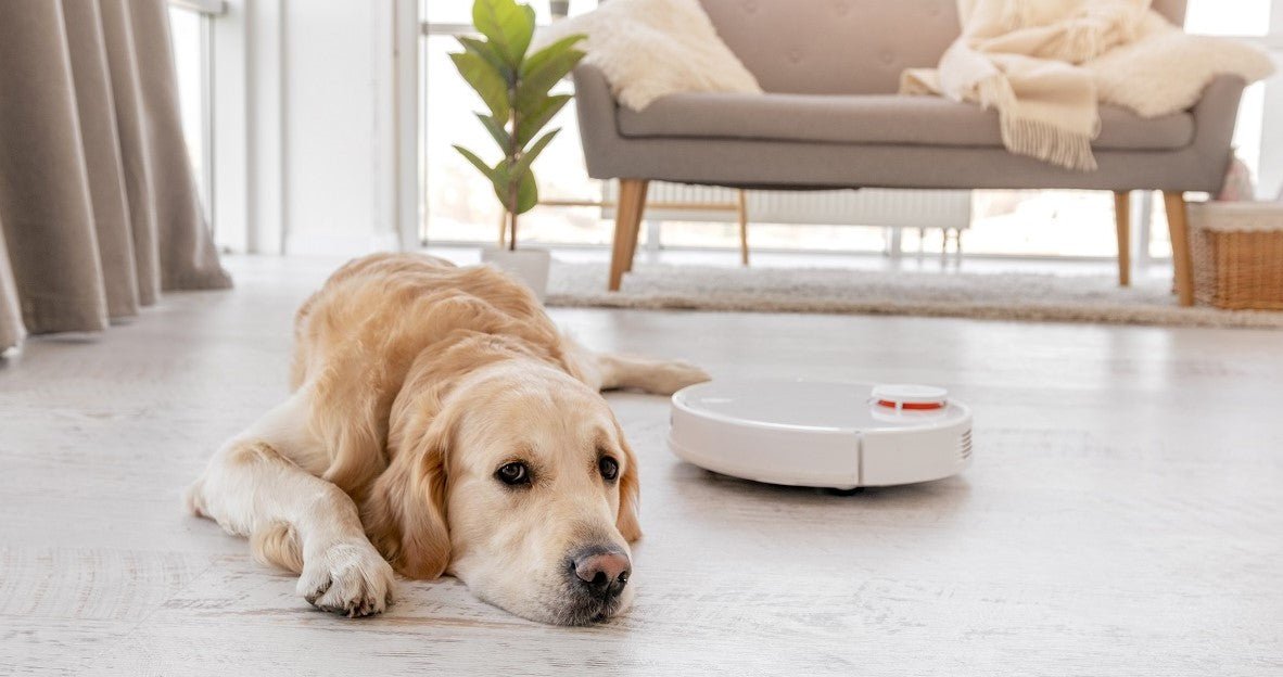 What's The Best Robot Vacuum for Pet Hair? - Neakasa