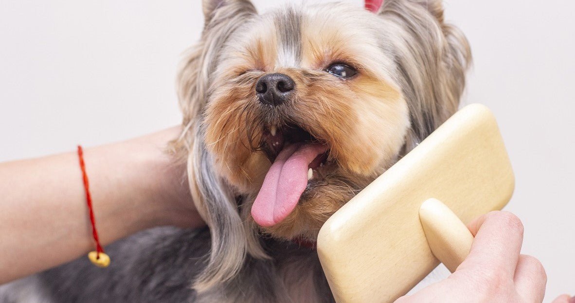 Which Mobile Pet Grooming Should I Choose? - Neakasa