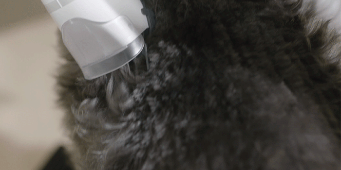 Cortapelos eléctrico Neakasa S1 Pro