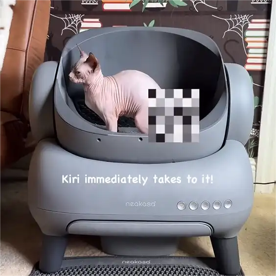 Neakasa M1 Self-Cleaning Open Top Cat Litter Box Automatic Cat Litter Box with App Control, Odour-free Waste Disposal Including Garbage Bags