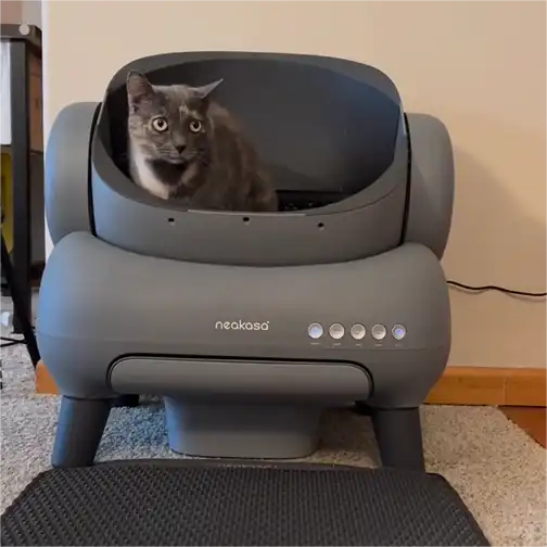 Neakasa M1 Open-top Self-cleaning Cat Litter Box