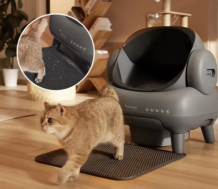 cat litter mat