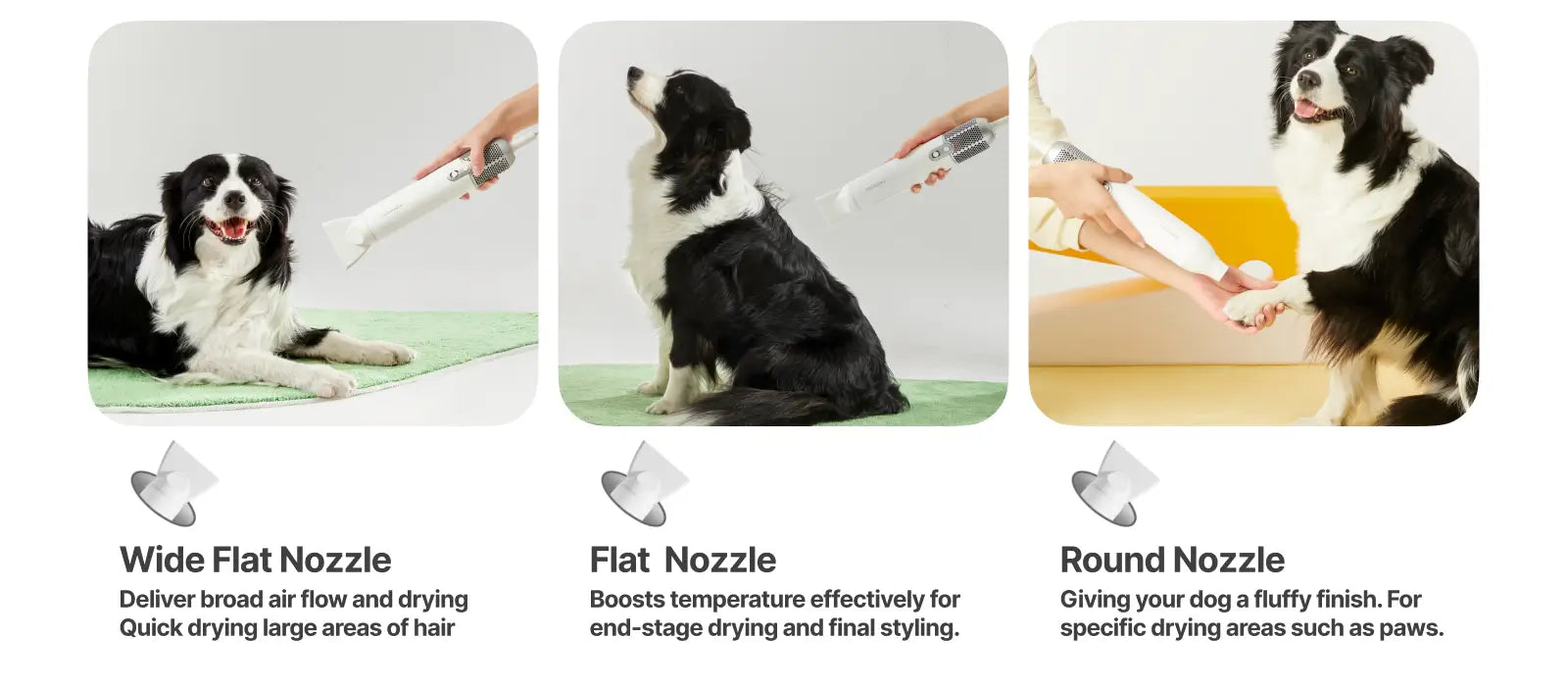 neakasa f1 pet hair dryer