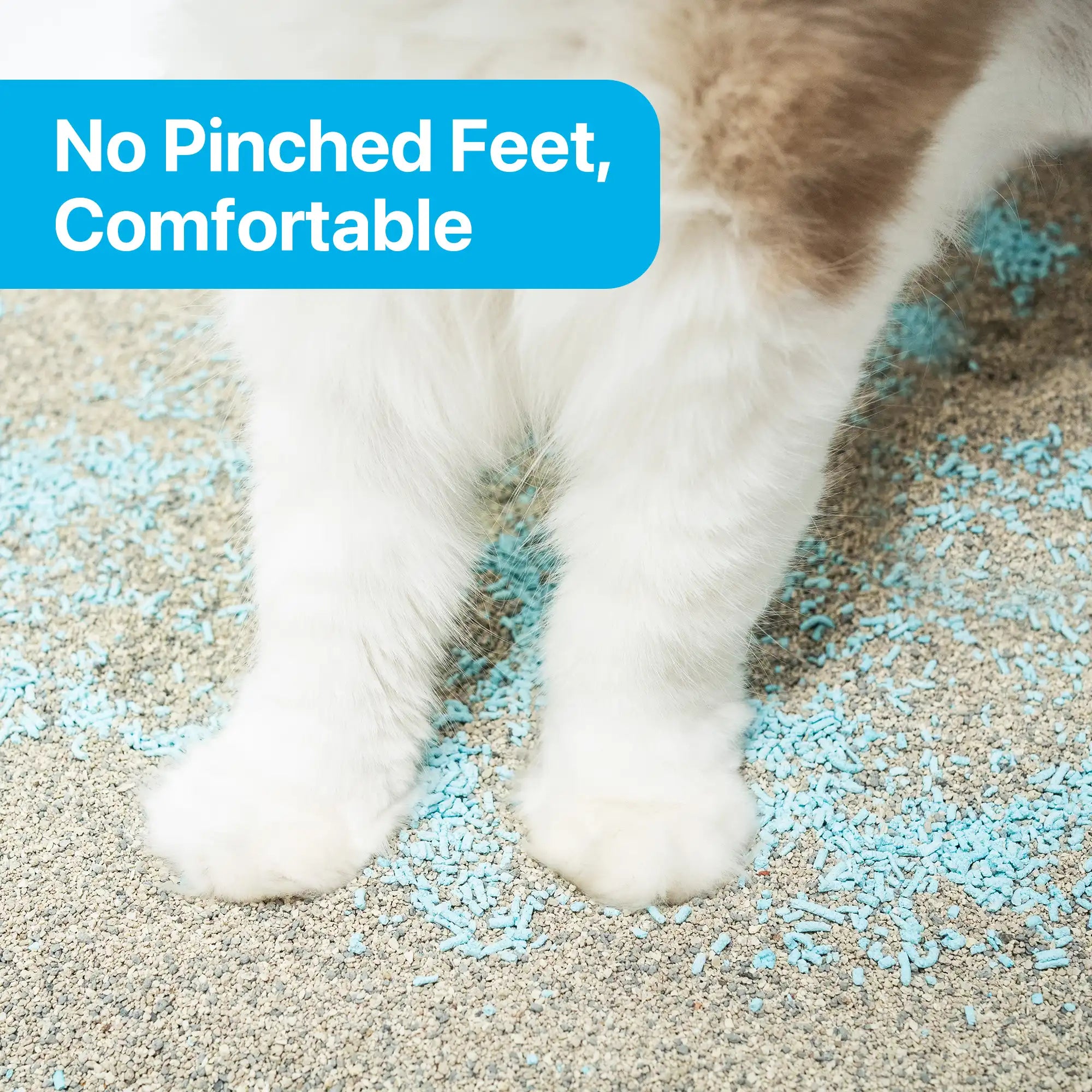 Cat Litter Odor Control for Home, litter-deodorizer-12