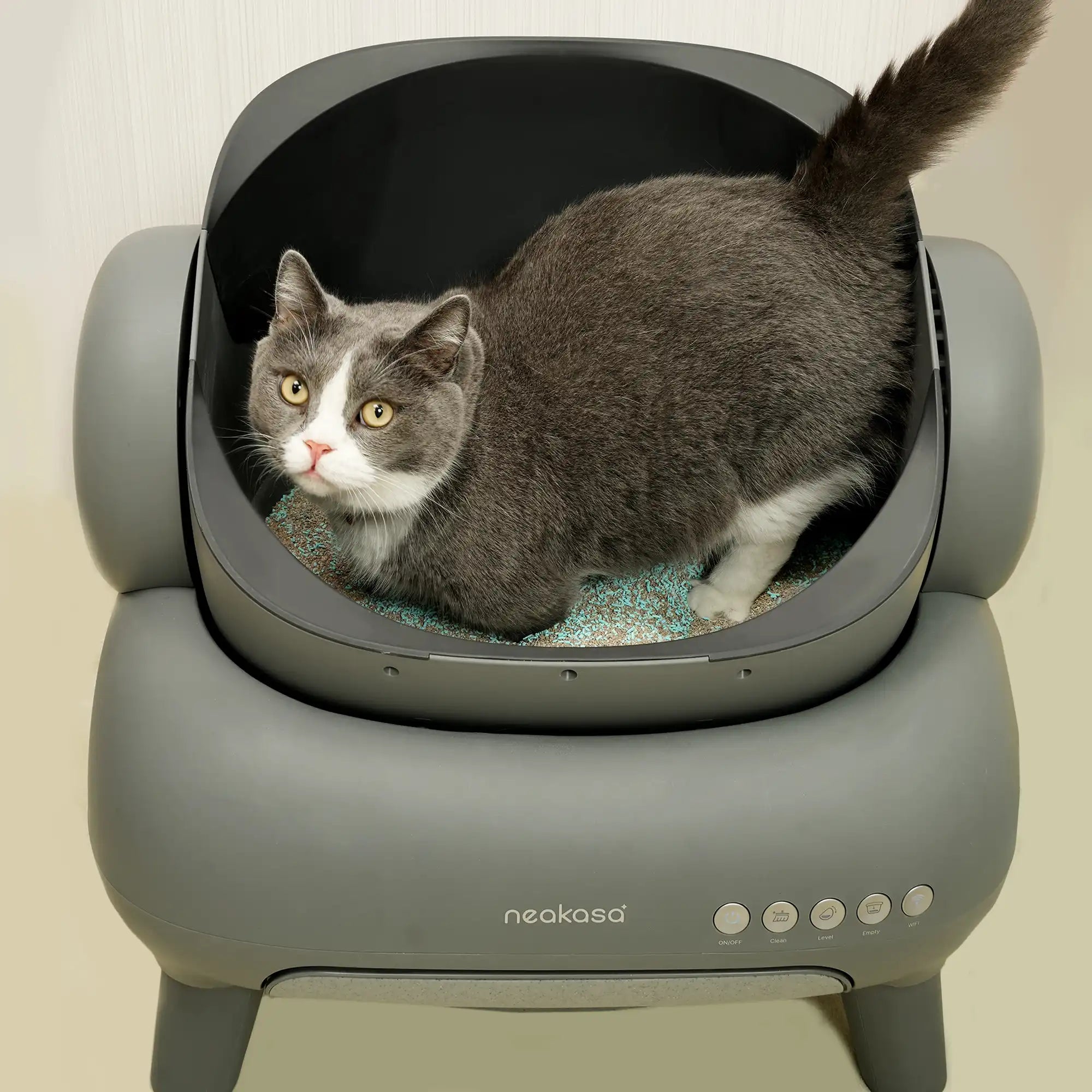 Litter Box Deodorizer, litter-deodorizer-12