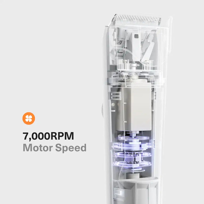 Módulo transparente del depósito y herramientas Neakasa S1 Pro