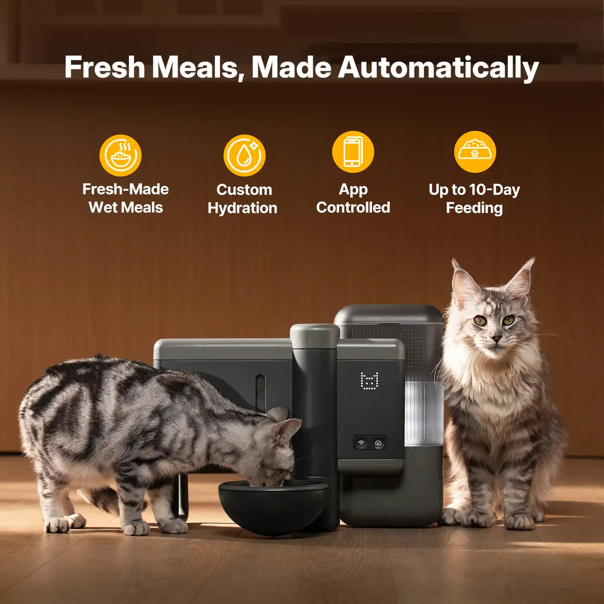 Pre-Order] Neakasa Riko Fresh-Made Wet Meal Feeder
