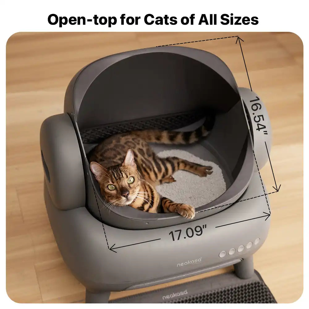 neakasa m1 open top self cleaning cat litter box, m1-us-grey, m1-eu-grey