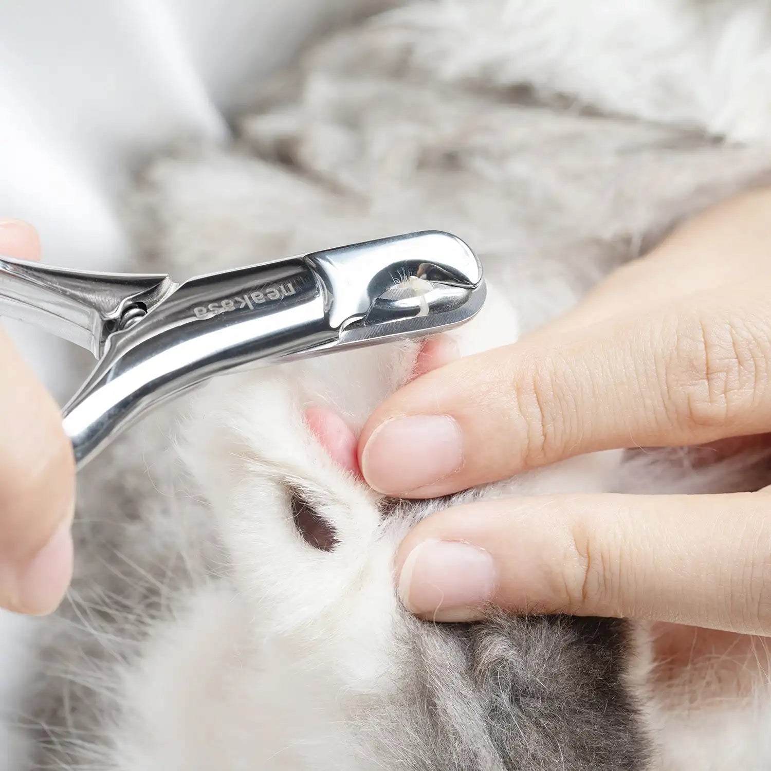 neakasa pet nail clipper, nail-clipper