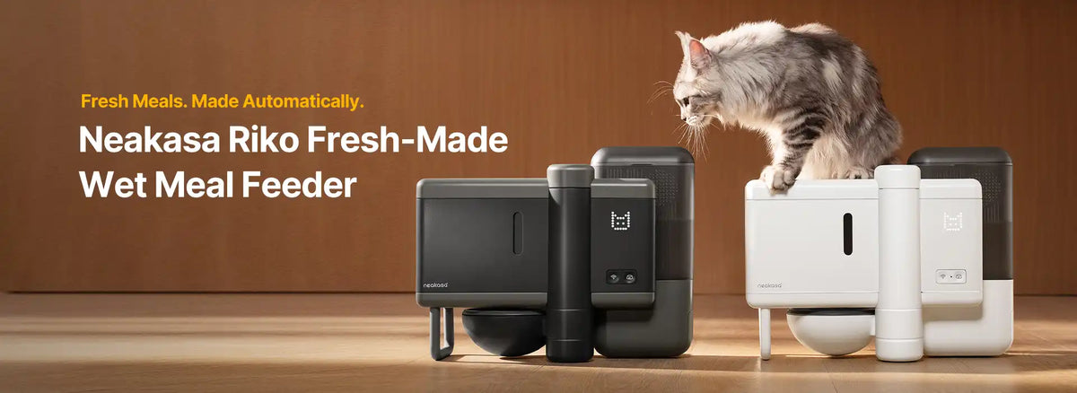 Neakasa Riko Fresh-Made Wet Food Feeder