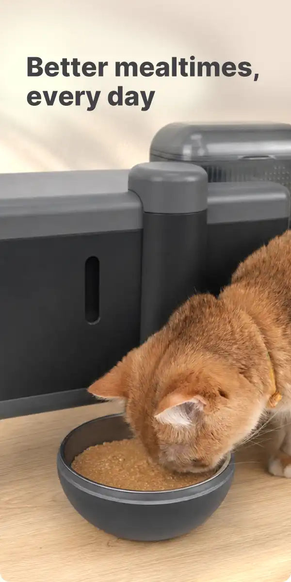 Cat eating a meal prepared by the Riko feeder