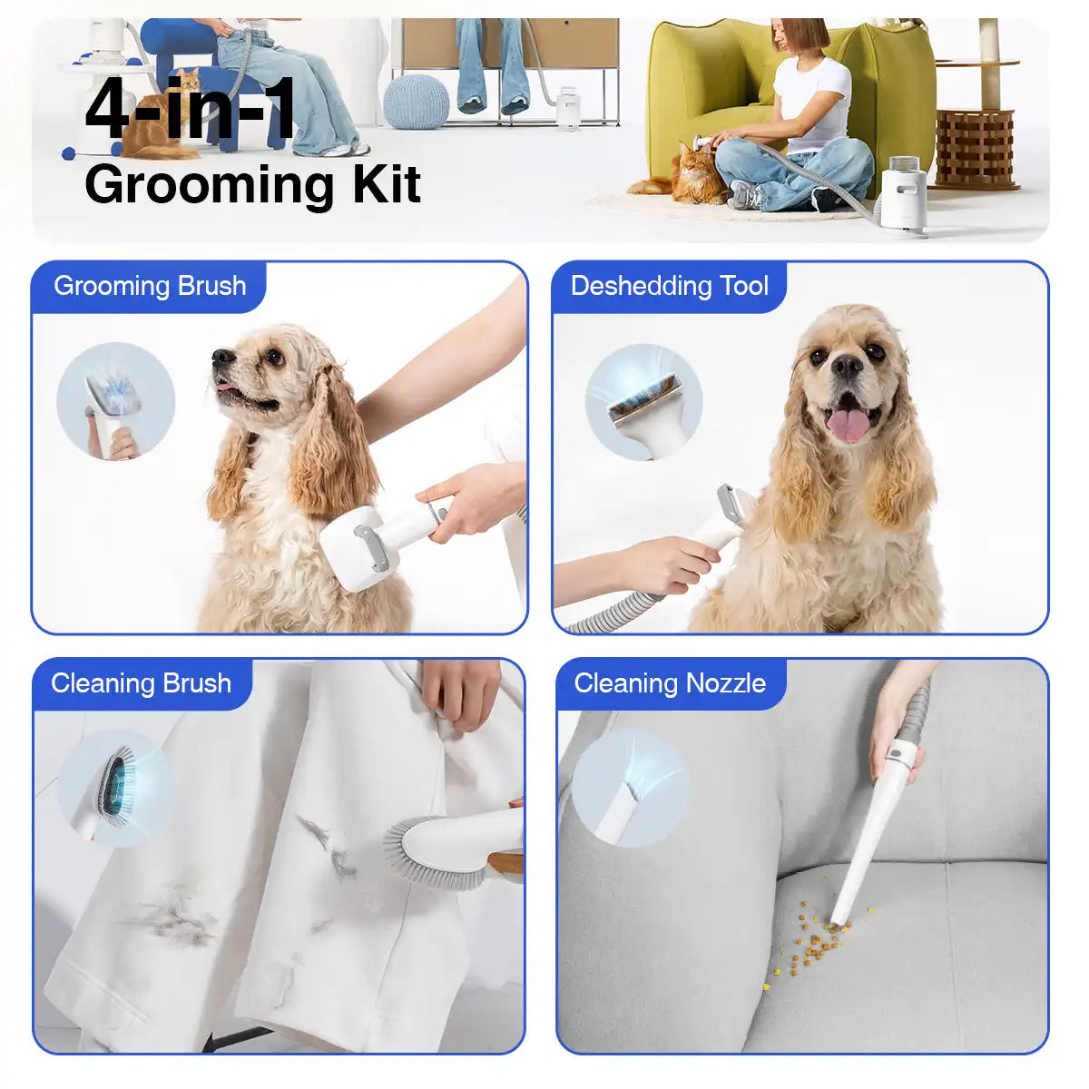 Grooming pet fashion